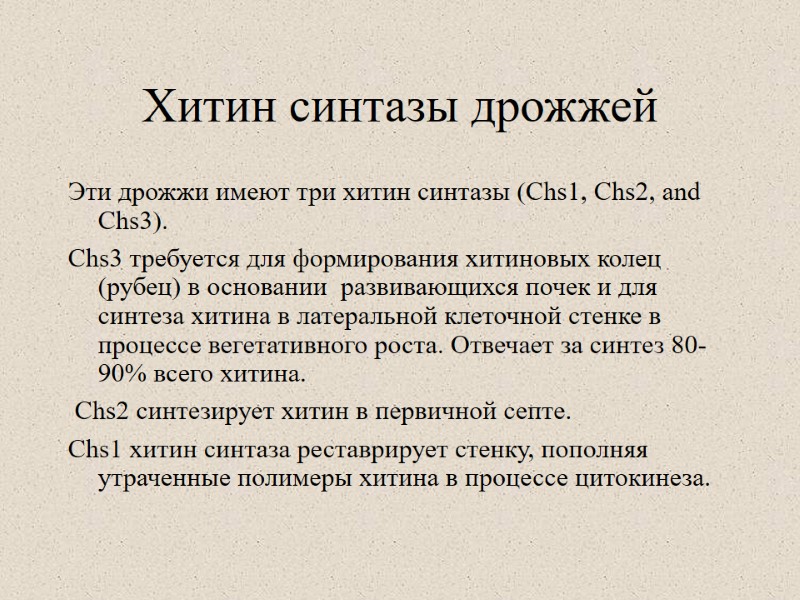 Хитин синтазы дрожжей Эти дрожжи имеют три хитин синтазы (Chs1, Chs2, and Chs3). 